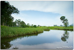 IMG_1725_copy
