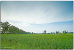 IMG_1751_copy
