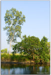 IMG_8867 copy