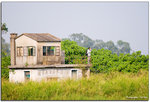 IMG_8878 copy