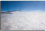 IMG_5516 copy