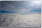 IMG_5523 copy