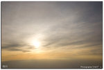 IMG_5546 copy