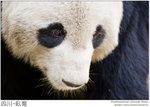 IMG_3886 copy