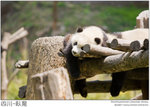 IMG_3898 copy