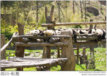 IMG_3900 copy