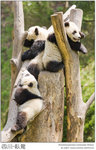 IMG_3904 copy