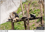 IMG_3914 copy
