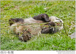 IMG_3985 copy