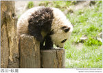 IMG_4006 copy