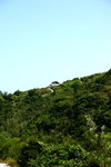 IMG_0052