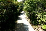 IMG_0056