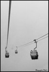 IMG_4059 copy