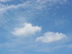 IMG_2656