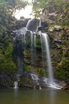 IMG_2961_copy
