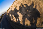 IMG_1485 copy