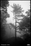 IMG_3222 copy