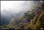 IMG_3295 copy