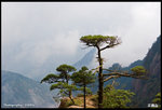 IMG_3302 copy