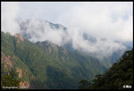 IMG_3371 copy