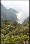 IMG_3439 copy