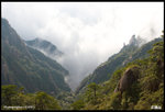 IMG_3459 copy
