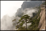 IMG_3477 copy