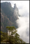 IMG_3481 copy