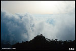 IMG_3516 copy