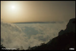 IMG_3527 copy