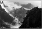 IMG_3545_copy_copy