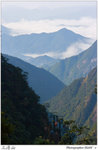 IMG_3682 copy