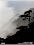 Untitled_1