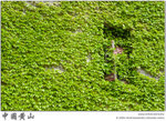 IMG_7681 copy