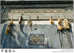 IMG_7734 copy