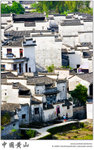 IMG_7843 copy