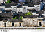 IMG_7846 copy