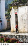 IMG_7857 copy
