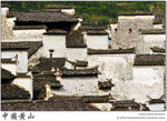 IMG_7876 copy