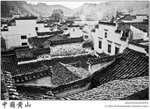 IMG_7911 copy