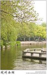 IMG_8048 copy