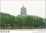 IMG_8072 copy