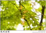 IMG_8077 copy