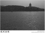 IMG_8129 copy
