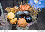 IMG_7157 copy