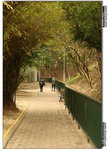 IMG_2847 copy
