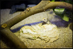 IMG_9888 copy