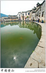 IMG_5336 copy
