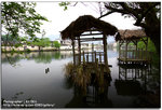 IMG_5404_copy