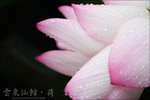0689 copy